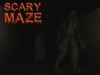 Scary Maze 3D image