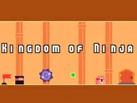 Kingdom of Ninja image