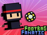 Footbag Fanatic image