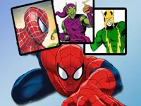 Spiderman Match Cards image