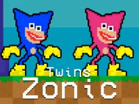 Twins Zonic image