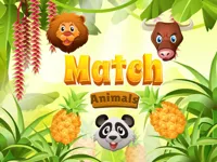 Match Animals image